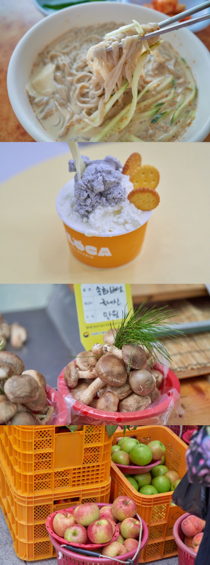 (위 사진부터) 콩 함량 0%로 오로지 들깨로만 국물을 낸 들깨냉국수, 단양 마늘로 만든 매력만점의 마늘 젤라토, 반찬용으로 두루 쓰기 좋은 국내산 송화버섯, 파란 아오리와 빨간 하미에 사과.