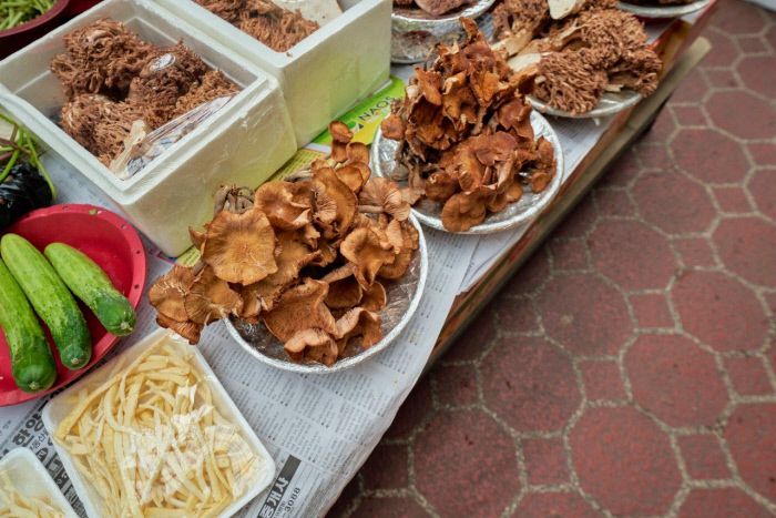 찌개에 넣으면 딱! ‘개암버섯’