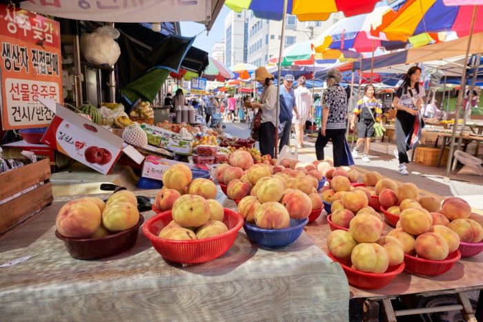 여름의 끝을 잡은 ‘황도’