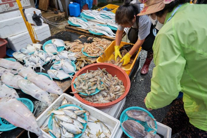 군산 새벽시장의 장점은 저렴한 수산물 구입이 가능하다는 것이다.