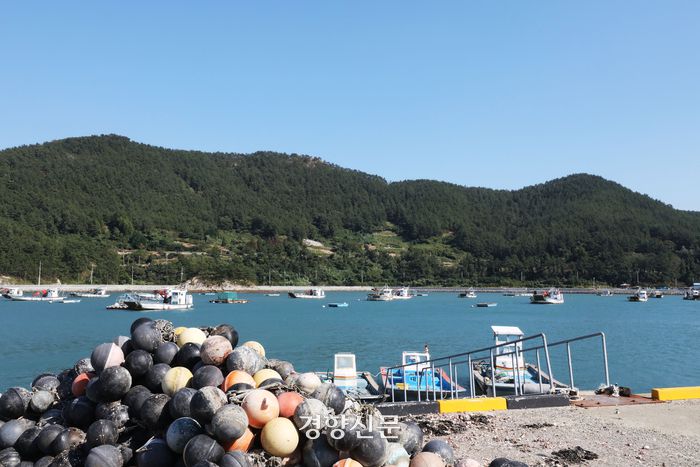 전남 완도군 금일읍에 위치한 전복 양식장의 지난 16일 모습. 금일읍은 최근 고수온으로 인한 집단 폐사, 후쿠시마 오염수 방류, 가격 하락 등으로 전복 양식에 어려움을 겪고 있다. 한수빈 기자