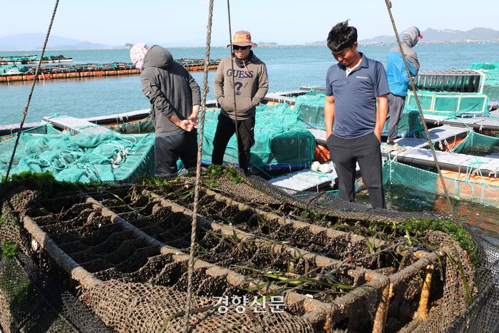 지난 16일 전남 완도군 금일읍에 위치한 전복 양식장에서 청년 어민들이 양식 작업을 하고 있다. 한수빈 기자