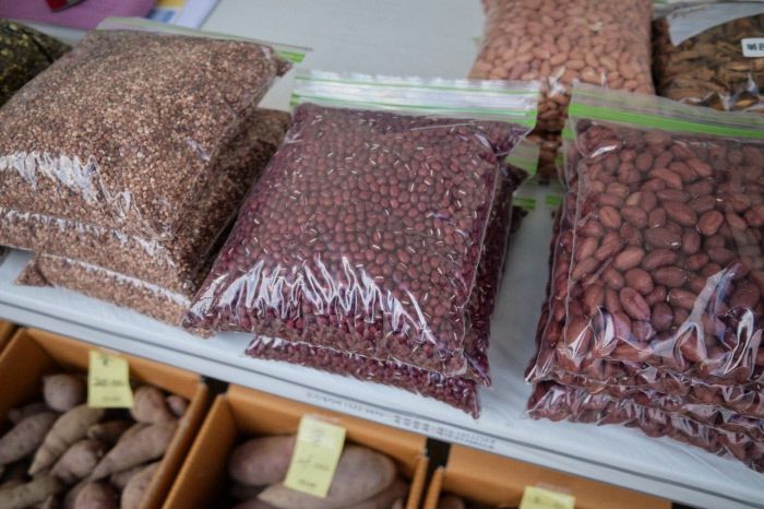 이맘때 만날 수 있는 토종 예팥. 일반 붉은 팥보다 구수하다.