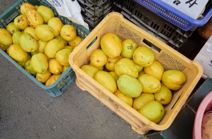 향기로운 차를 만들기 좋은 제철 모과.