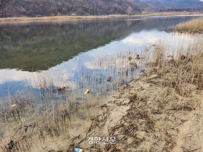 지난 4일 찾은 공주보 인근의 금강 모습. 공주보 담수로 인해 금강 인근이 펄밭이 됐으며 악취가 심하게 났다. 강정의 기자