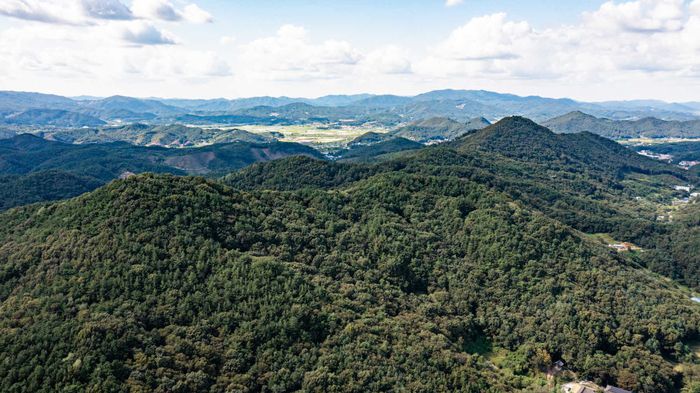 충남 공주 견준봉 일대는 우금티전투 당시 가장 치열한 전투가 벌어졌던 곳이다. 동학농민혁명기념재단