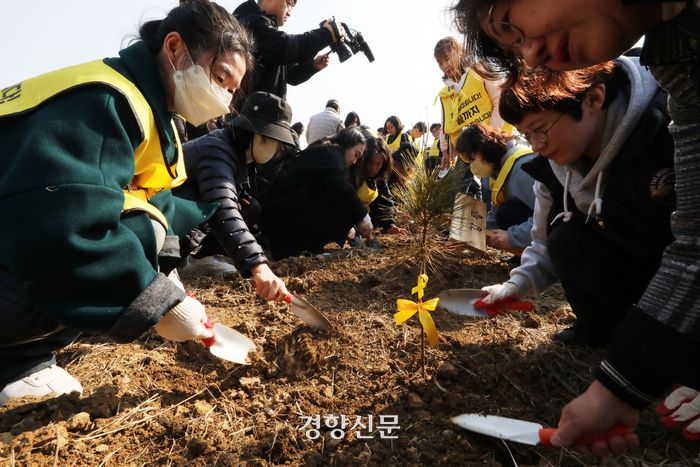 세월호 유가족과 시민들이 경기 안산시 4.16생명안전공원부지에 생명안전 나무를 심고 있다.