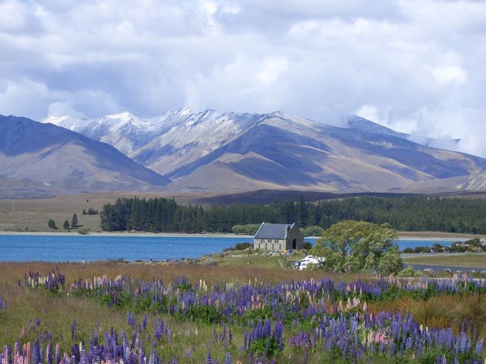 뉴질랜드 테카포 호수. 스카이스캐너 제공