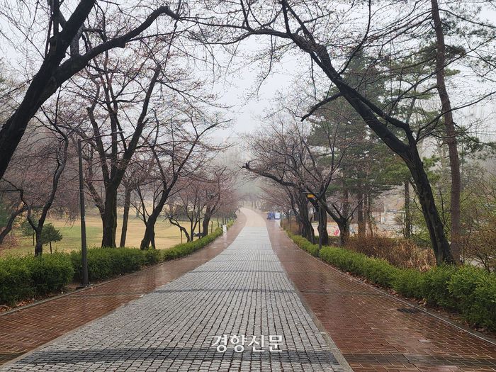 서울 광진구 어린이대공원 산책로가 29일 지나다니는 사람이 없어 한산한 모습이다. 양쪽에 심어진 벚나무에는 꽃망울만 맺혀 있다. 김세훈 기자
