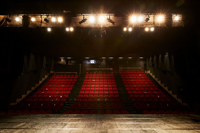 국립정동극장 객석. 국립정동극장 제공