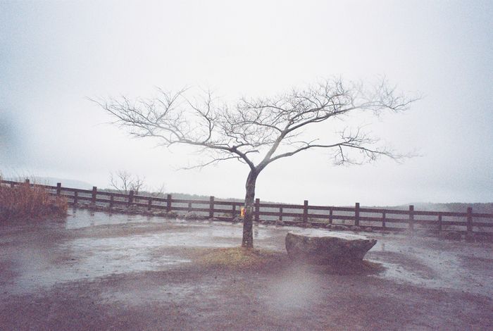 산굼부리