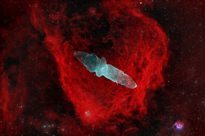 제32회 천체사진공모전에서 우수상을 받은  ‘플라잉 배트 앤드 스퀴드 네뷸라(Flying Bat and Squid Nebula)’. 이충현씨 촬영