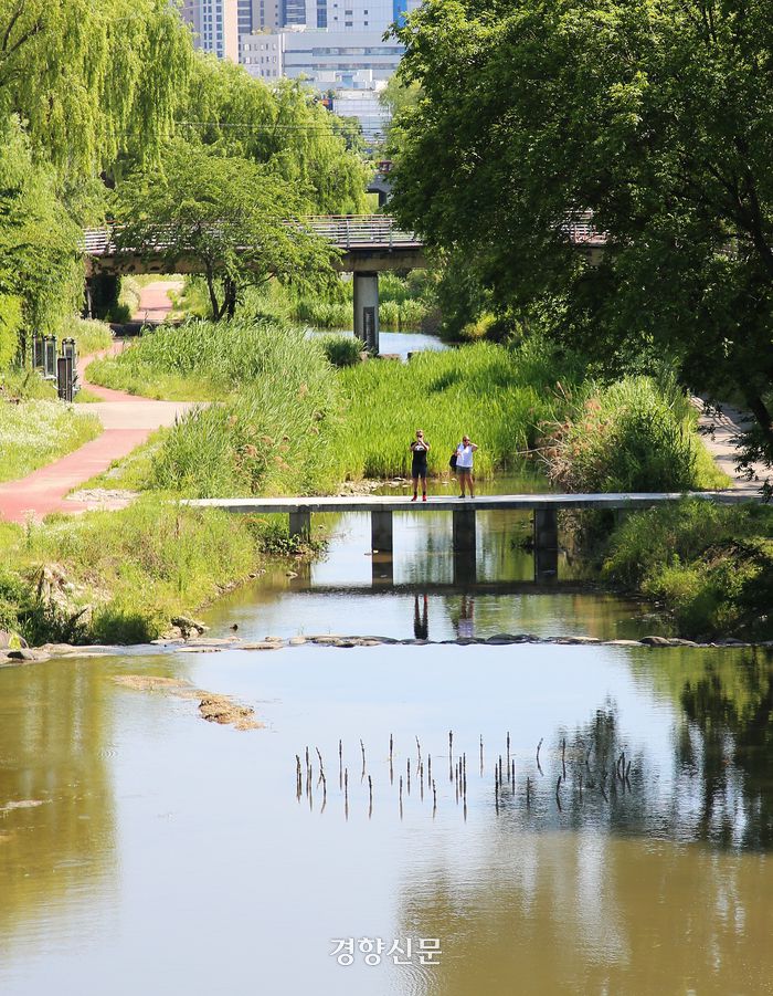 수원천. 이윤정 기자