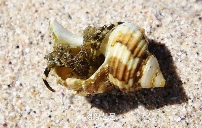 제주 바다 풍경. 이윤정 기자