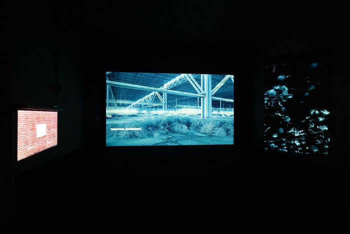 백남준아트센터에 전시중인 최찬숙의 ‘더 텀블’ 전시 전경. 백남준아트센터 제공