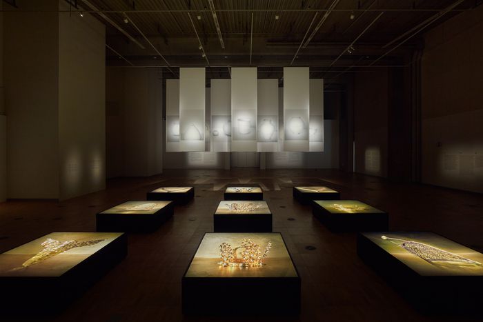 국립아시아문화전당에서 열리고 있는 구본창의 ‘사물의 초상’ 전시 전경. 국립아시아문화전당 제공