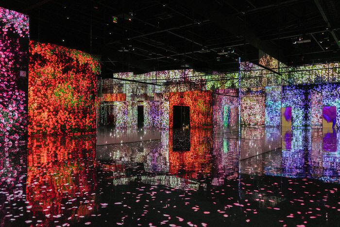 아르떼뮤지엄 부산 플라워