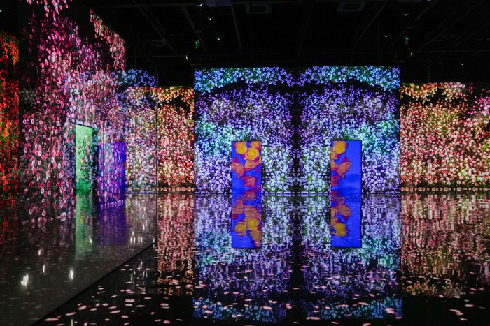 아르떼뮤지엄 부산 플라워