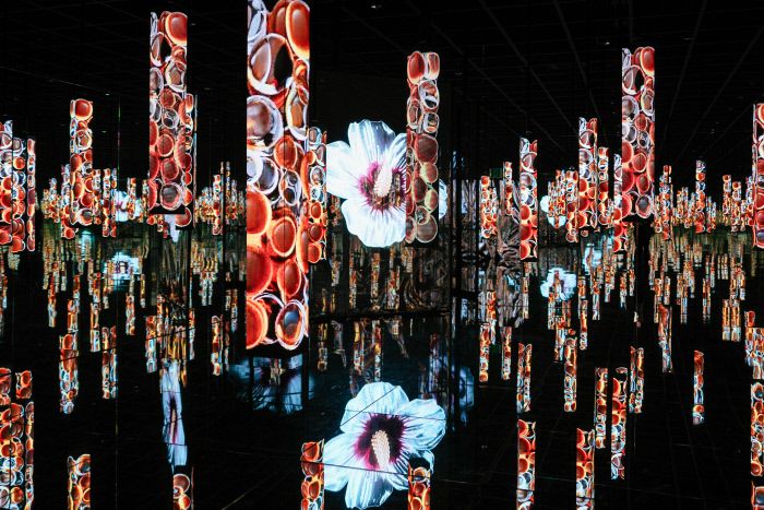 몰입형 미디어아트를 선보이는 아르떼뮤지엄 부산 시드관의 ‘히비스커스’. 무궁화를 테마로 역동적인 아름다움을 펼친다.