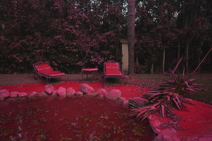 지난 11일(현지시간) 로스앤젤레스에서 발생한 팰리세이즈 산불로 맨더빌 캐니언의 한 주택가 뒷마당에 발화 지연제가 뿌려져 있다. AP연합뉴스