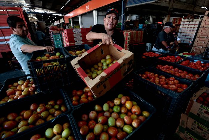 멕시코 시장에서 팔고 있는 토마토. AFP연합뉴스