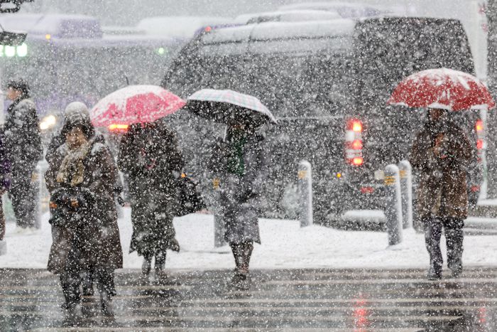 <퇴근길 덮친 대설> 서울과 수도권 곳곳에 대설주의보가 발효된 6일 눈이 내리는 서울 세종로 사거리에서 시민들이 퇴근길을 서두르고 있다. 대설주의보는 24시간 동안 눈이 5㎝ 이상 쌓일 것으로 예측될 때 내려진다. 문재원 기자