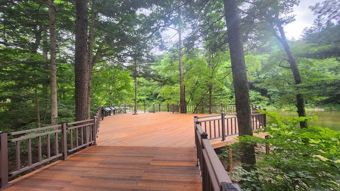 오대산 금강연 전망대 전경. 오대산국립공원사무소 제공