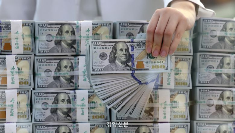 지난 2월 서울 중구 하나은행 위·변조 대응센터 직원이 달러를 정리하고 있다. 권도현 기자
