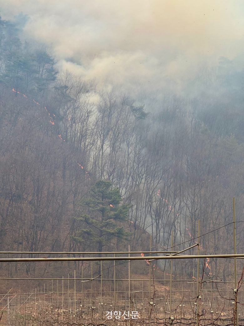 경북 안동시 길안면 백자리 한 야산에 25일 오후 불길이 번지고 있다. 백경열 기자
