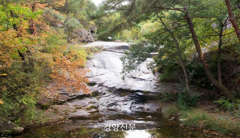 안동 만휴정 주변에 있는 ‘만휴정 원림’ 모습. 국가유산포털 제공