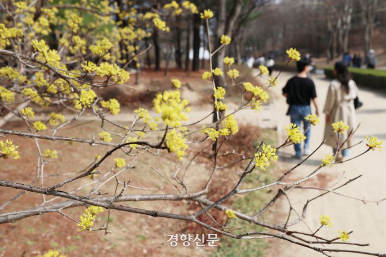 서울 지역 낮 최고기온이 23도까지 오른 지난 23일 시민들이 서울 성동구 서울숲에서 봄 나들이를 즐기고 있다. 한수빈 기자