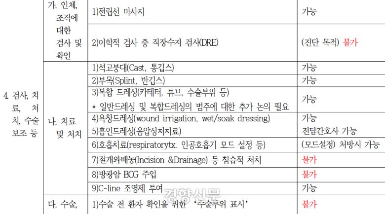 지난달 A씨가 미리 받은 PA 간호사의 가능 업무 목록 중 일부/A씨 제공