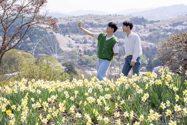 가든패스를 이용하면 700여 그루의 매화나무가 심어진 하늘정원길에서 활짝 핀 꽃을 감상할 수 있다.