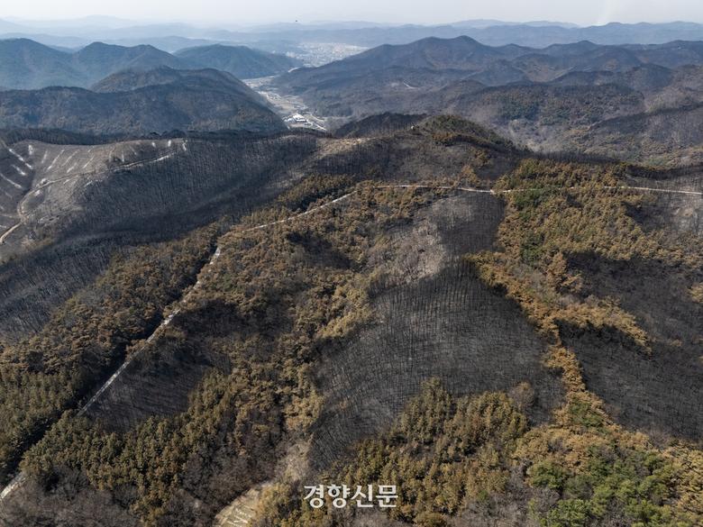 의성에서 발생한 대형산불이 닷새째 이어진 지난달 26일 의성 명고리 원당산과 대산지산 일대가 전날 번진 산불에 검게 타 있다. 의성 | 성동훈 기자