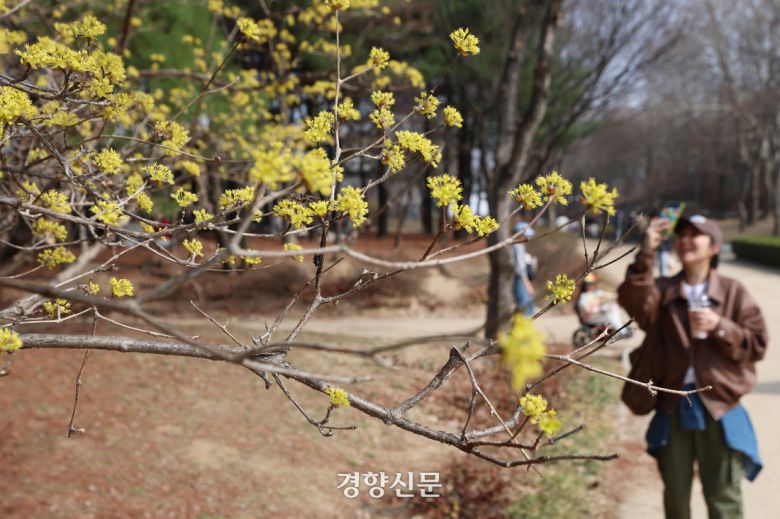 경향신문