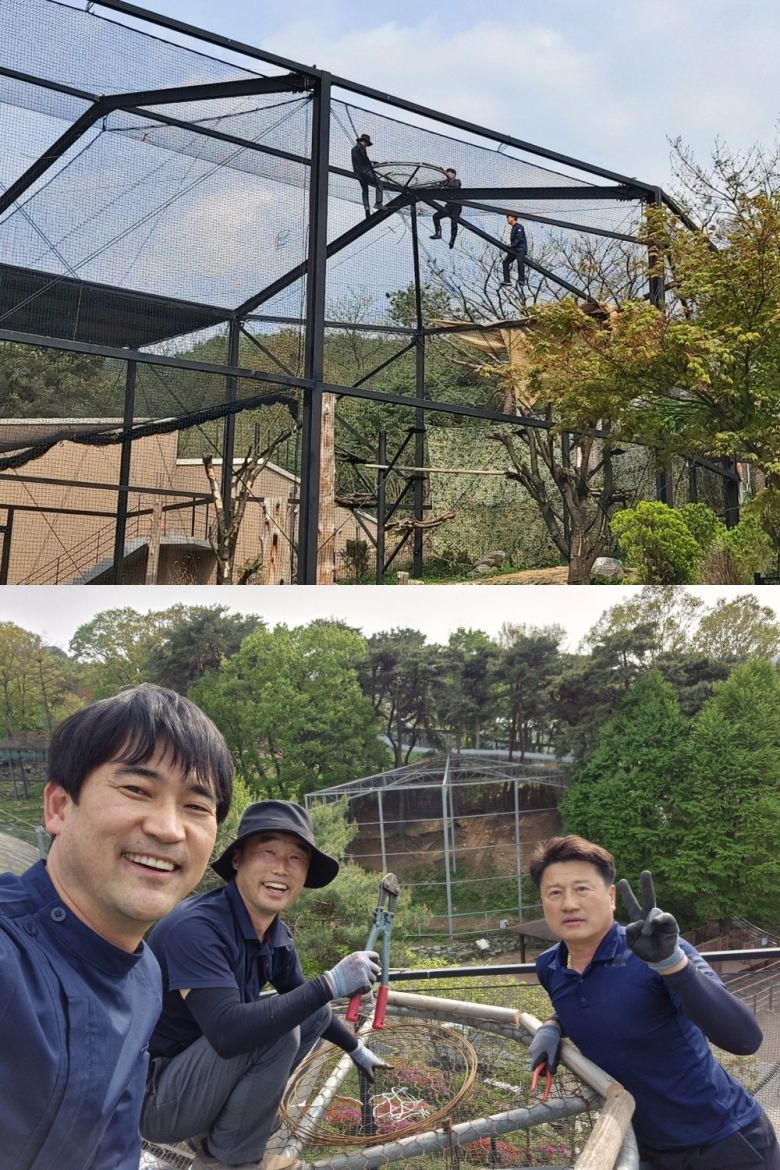 10m 높이의 황새장 꼭대기에 동물원에 날아든 황새 부부 둥지를 마련해주었다. 김정호(청주동물원) 제공