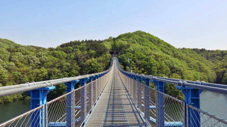 초평호 미르309 출렁다리에서 내려다보면 초평호는 한 폭의 수채화 같다.