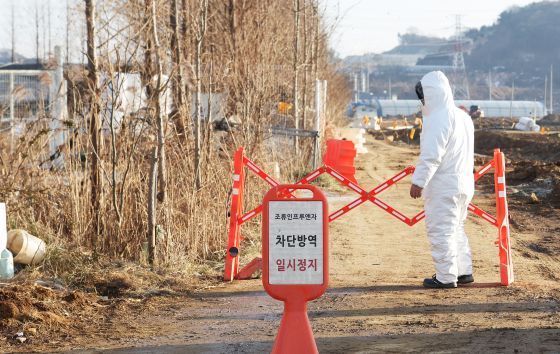 지난해 12월 고병원성 조류 인플루엔자가 발생한 경기도 화성시 한 소규모 토종닭 농장 출입이 통제되고 있다. 연합뉴스