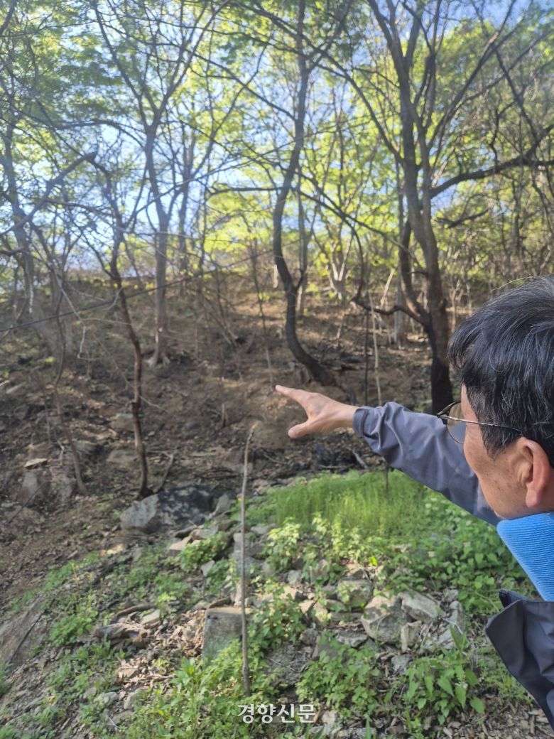 윤여창 서울대 명예교수(농림생물 자원학)가 주왕산국립공원 내 너구마을 인근 활엽수에 대해 설명하고 있다. 반기웅 기자