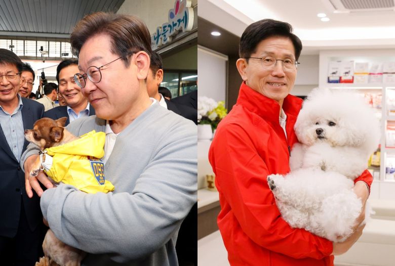 이재명 더불어민주당 대선 후보(왼쪽)가 지난 11일 전남 강진군 강진오감통시장에서, 김문수 국민의힘 대선 후보가 지난 13일 대구의 한 동물병원에서 강아지를 안아보고 있다. 연합뉴스·김문수 캠프 제공