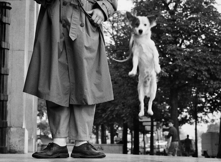 Paris, France, 1989 (C) Elliott Erwitt/Magnum Photos