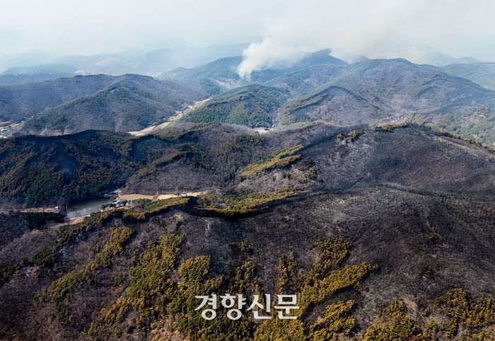 경북 의성군 괴산리에서 성묘객 실화로 발생한 산불이 할퀴고 간 상처가 지난 5월 발화지점 일대 야산에 검게 퍼져 있다. 문재원 기자