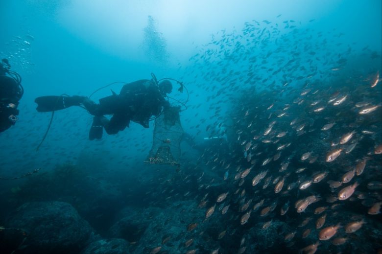지난 14일 울릉도 삼막 인근 바다에서 대한잠수협회 회원들이 폐어구를 수거하는 가운데 자리돔 떼가 지나가고 있다. 대한잠수협회 제공