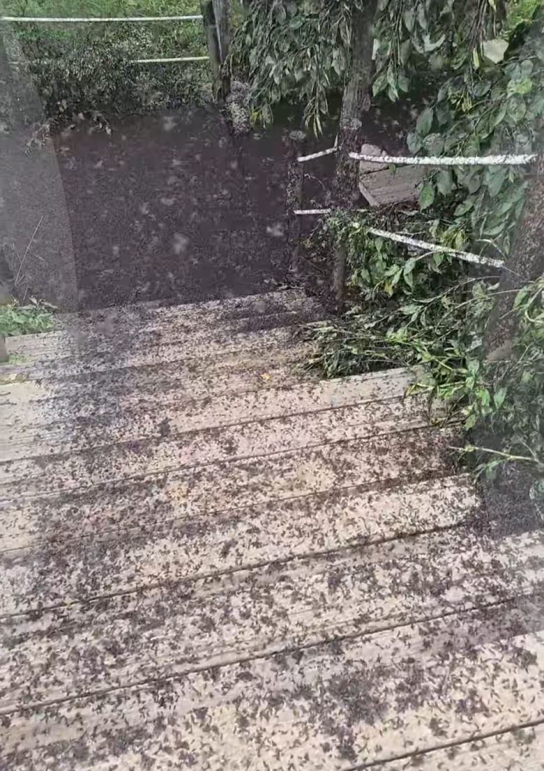 인스타그램 ID : kimlark34 제공