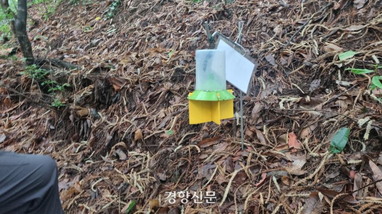 지난 25일 서울 은평구 주거지역과 인접한 북한산 둘레길에 붉은등우단털파리(러브버그) 친환경 방제를 위한 유인제 포집기가 설치돼 있다. 강한들 기자