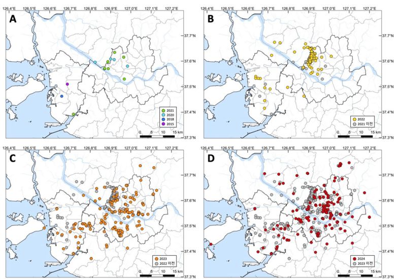 시민과학플랫폼 네이처링 등에 시민들이 올린 기록을 통해 수집한 연차별 붉은등우단털파리(러브버그) 관찰 기록. 2022년 서울 은평구, 경기 고양시 일대에서 집중적으로 관찰되기 시작하다가, 2024년에는 서울 대부분 구와 경기 일대까지 확산했다. 국립생물자원관·신승관 서울대 교수 연구팀 제공