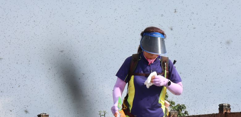 지난달 30일 오전 인천 계양구 계양산 정상이 러브버그(붉은등우단털파리)들로 뒤덮여 등산객들이 불편을 겪고 있다. 연합뉴스