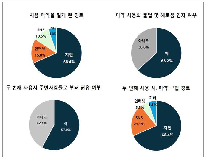 마약류 초기 사용 실태. 국립정신건강센터 홈페이지 내 보고서 캡처.
