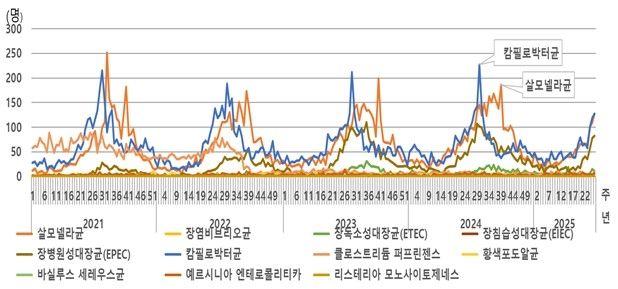 최근 5년간 표본감시 대상 세균성 장관감염증 발생 추이. 질병관리청