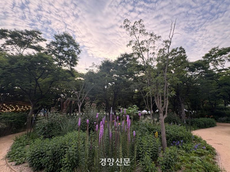 독일 마크 크라이거 작가의 애비에이터스 가든.